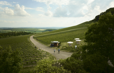 Blick von oben auf einen kleinen Wein-Ausschank mit Sitzgelegenheiten und Sonnenschirmen mitten im Weinberg. | © Tourimia Tourismus GmbH | Stefan Leitner Photography