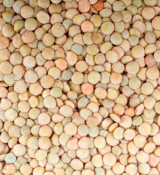 Kartoffelbau Schmoll mit Hofladen | Hausener Berglinsen | © Neckar-Zaber-Tourismus e.V.