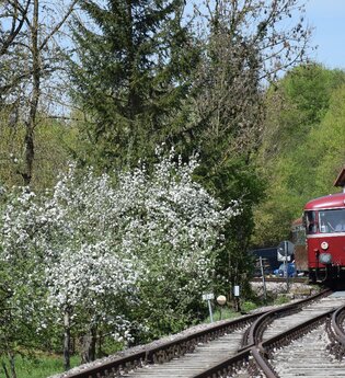 Krebsbachtalbahn Neckarbischofsheim Nord - Hüffenhardt