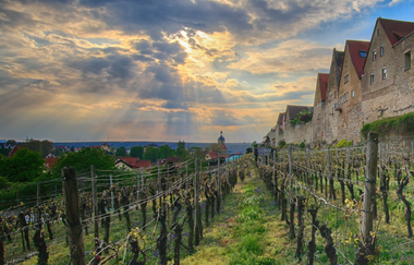 Lauffen am Neckar | HeilbronnerLand | © Ulrich Seidel | Stadtverwaltung Lauffen am Neckar