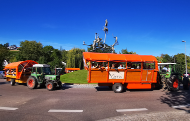Katzenbeißer Carrus | Planwagen- und Weinbergrundfahrt | Lauffen am Neckar | © Katzenbeisser Carrus Planwagenfahrten GbR