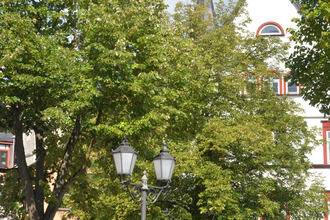 Möhlerplatz | © Tourismusverband "Liebliches Taubertal"