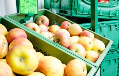 Mühlenladen der Stettfelder Mühle GmbH & Co. KG | © Stettfelder Mühle