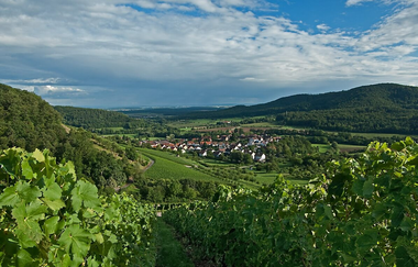Naturpark Stromberg-Heuchelberg | © Matthias Dreizler