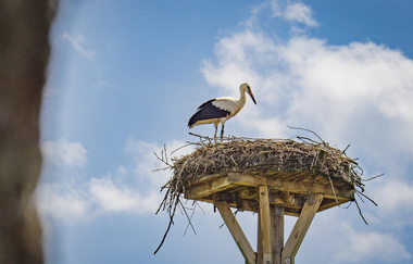 Naturparkzentrum Stromberg-Heuchelberg | © TMBW
