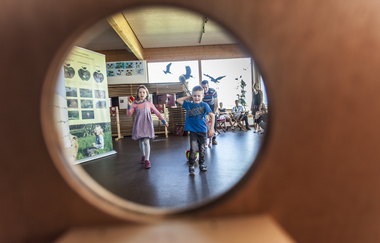 Ausstellung im Naturparkzentrum Stromberg-Heuchelberg | HeilbronnerLand | © Touristikgemeinschaft HeilbronnerLand