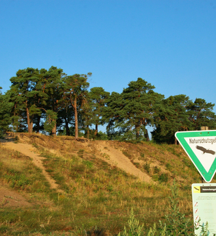Naturschutzgebiet Sandhausener Dünen | © Landratsamt Rhein-Neckar-Kreis