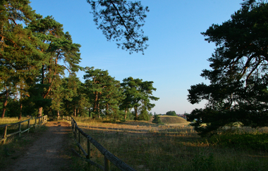 Naturschutzgebiet Sandhausener Dünen | © Landratsamt Rhein-Neckar-Kreis