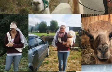 Nonies Hof - Alpakahof | © Nonies Hof