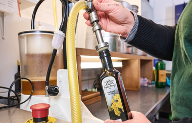 Ölmühle Illingen | © Jens Wegener