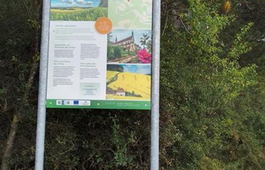 Ort des Glücks - AUSSICHTSPUNKT DICKBUCKEL Wertheim-Reicholzheim | © Liebliches Taubertal