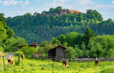 Ort des Glücks - BÜRGERWEINBERG IGERSHEIM | © Liebliches Taubertal