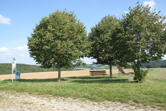 Ort des Glücks - VERWEILEN UNTER DEN LINDEN | © Liebliches Taubertal