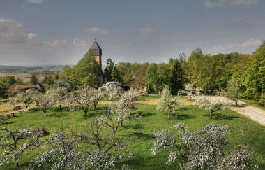 Ottilienberg Eppingen, Frühling, Stadt Eppingen | © Große Kreisstadt Eppingen