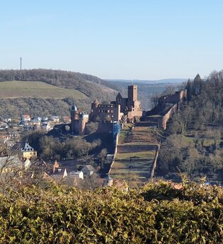 Panoramaaussichtspunkt | © TOURISMUS REGION WERTHEIM GmbH