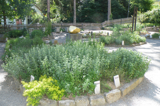 Paracelsus-Gärtchen | © Archiv Stadt Röttingen