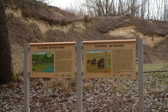 Pfad "Homo Heidelbergensis" in Mauer