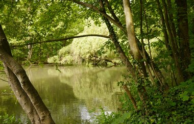 Pfannwaldsee | © Stadtverwaltung Kraichtal