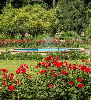 Pfühlpark