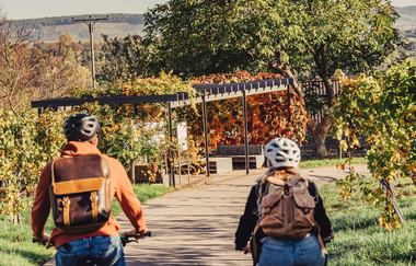 Weinpergola | Picknickplatz am Wein- und Rosenrundweg | Weinsberg | HeilbronnerLand | © Touristikgemeinschaft HeilbronnerLand