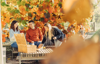 Rastplatz "Weinpergola am Burgberg" - Nähe Burgruine Weibertreu Weinsberg | HeilbronnerLand | © Touristikgemeinschaft HeilbronnerLand