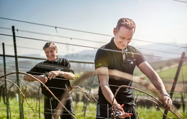 Weingut Eberbach-Schäfer | Lauffen am Neckar | HeilbronnerLand | © Weingut Eberbach-Schäfer