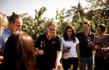 Weinprobe | Privatkellerei Storz | Cleebronn | © Neckar-Zaber-Tourismus e.V.