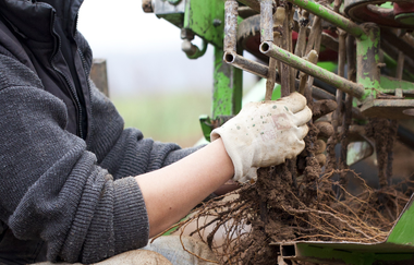 Rebschule Ehmer | © Rebschule Ehmer