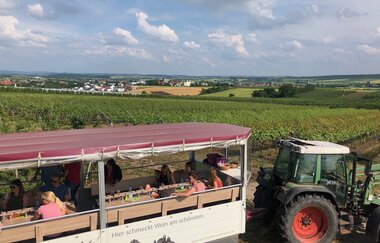 Planwagen Zabergäu-Bummler vor Weinbergen | © Neckar-Zaber-Tourismus e.V.