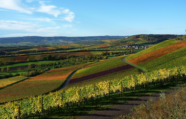 Brackenheim Zweifelberg | Regine Sommerfeld | Weinerlebnisführerin | HeilbronnerLand | © Regine Sommerfeld