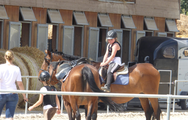 Restaurant Pferdeland Kollerinsel in Brühl