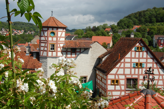 Blick auf das im Fachwerkstil errichtete Romschlössle. Im Vordergrund sind Rosen des dazugehörigen Rosengartens zu sehen. | © Tourist-Information Creglingen