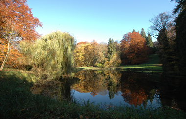 Schloss Langenzell in Wiesenbach-Langenzell | © Schloss Langenzell Wiesenbach-Langenzell