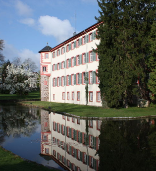 Seitenansicht Wasserschloss Eichtersheim mit See und Bäumen | © Gemeinde Angelbachtal