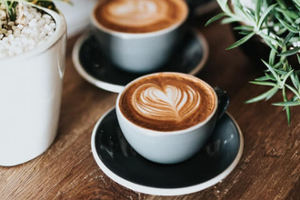 SOFI-Café | © Sofi Café