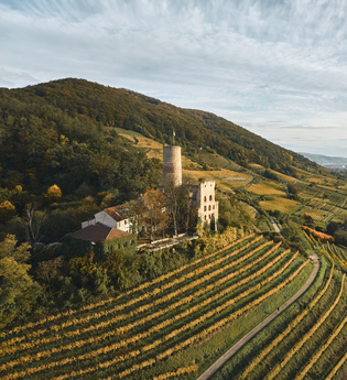 Weinberge mit Burg auf einem Hügel, darunter ein Dorf. | © Landratsamt Rhein-Neckar-Kreis