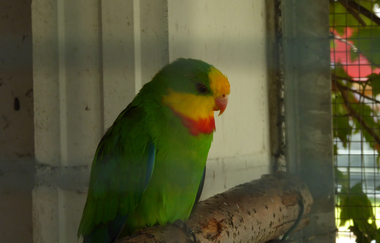 Tier- und Vogelpark Reilingen | © Landratsamt Rhein-Neckar-Kreis