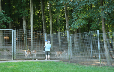 Tierpark Balzfeld Dielheim | © Landratsamt Rhein-Neckar-Kreis