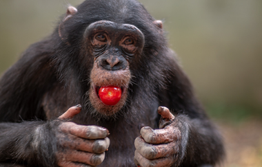 Tierpark Leintalzoo | Schwaigern | HeilbronnerLand