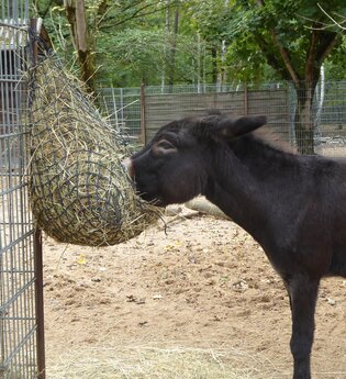 Tierpark Walldorf | © Landratsamt Rhein-Neckar-Kreis
