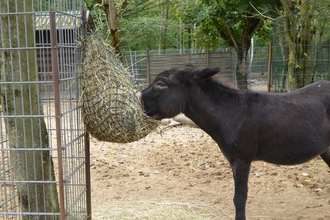 Tierpark Walldorf | © Landratsamt Rhein-Neckar-Kreis