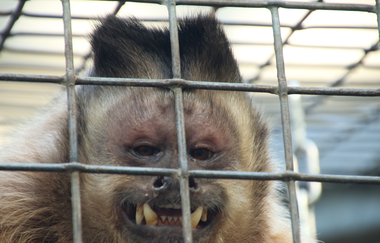 Tierpark Walldorf | © Landratsamt Rhein-Neckar-Kreis