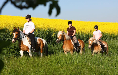 Urlaubsreiterhof Trunk | © Unbekannt