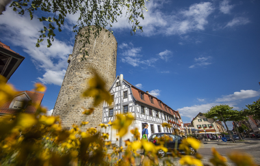 Waldhornturm Besigheim | © Stadt Besigheim