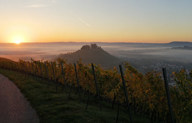 Waldkletterpark Weinsberg - Klettern in bester Aussichtslage | HeilbronnerLand | © Waldkletterpark Weinsberg GmbH