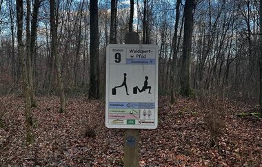 Schild Station 9 des Waldsportpfades vor Bäumen und Laub