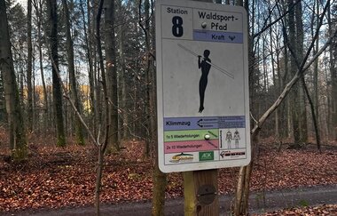 Schild Station 8 des Waldsportpfades vor Bäumen und Laub