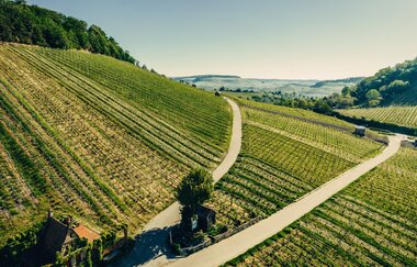 Aussicht am Wartberg ins Weinsberger Tal | © Touristikgemeinschaft HeilbronnerLand e.V.