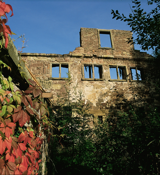 Wasserschlossruine Kraichtal-Menzingen | © Stadtmarketing Kraichtal