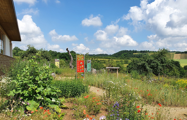 Wildkräuterwelt am Naturparkzentrum Stromberg-Heuchelberg | Zaberfeld | HeilbronnerLand | © Naturpark Stromberg-Heuchelberg